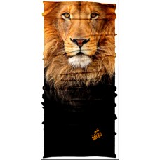 DMlion